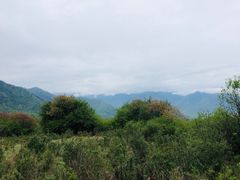 -石棉县孟获城