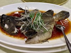 清蒸石斑鱼-顺风海鲜港(金玉兰店)