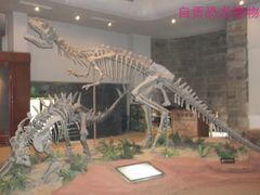 -自贡恐龙博物馆