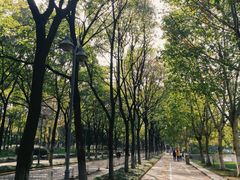 -后襄河公园
