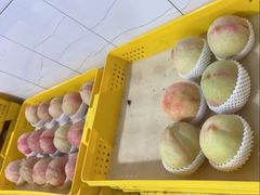 -老袁家蜜桃农场·阳山水蜜桃