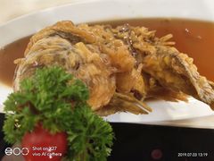 -老牌坊•鲁菜名店•地道济南菜(大观园商埠店)
