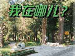 -颐和园