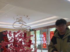 -合肥美奥口腔·种植矫正中心(政务院)