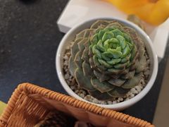 -Lazy Time Massage南亚按摩小馆(大悦城店)