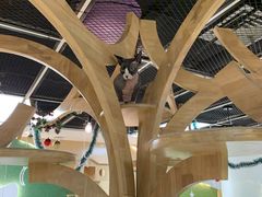 -猫和宫(六道口店)