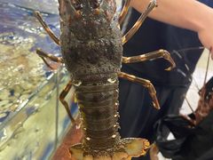 -江海酒家(赤岗店)