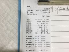 -佳雯宠物医院(四明中路分院)