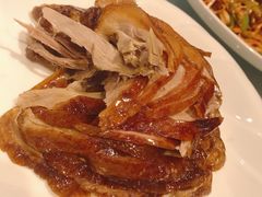 -正阳春鸭子楼(双港店)