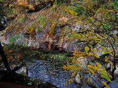 -祁门牯牛降观音堂风景区