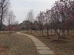 -北京西山国家森林公园