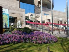 -上海博物馆(人民广场馆)