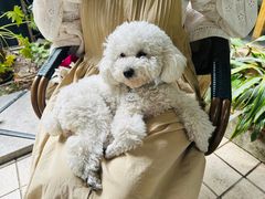 -默迹咖啡馆