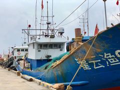 -吕四渔港码头海鲜餐厅