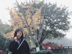 -重庆彩云湖湿地公园