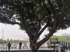 -黄埔古港