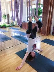 -花间禅净·瑜伽