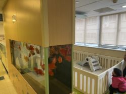 -杭州贝瑞斯美华妇儿医院·早孕·产检·儿科