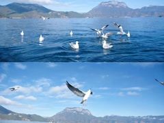 -丽江泸沽湖景区