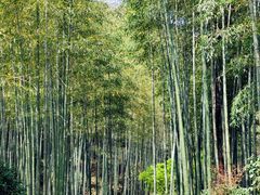 -黄公望隐居地