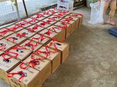 -马陆小张葡萄园农家乐