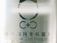 -凯特喵百思猫专科医院