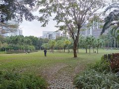 -东风公园