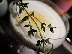 -STARRY CAFE & LOUNGE BAR(高新店)