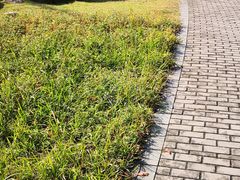 景点-白塘生态植物园