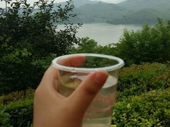 -天目湖涵田半山温泉