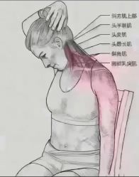 -香薇妮丝·定制减肥·身材管理