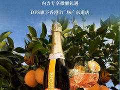 -DFS迪斐世(香港广东道店)