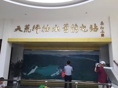 -江南天池