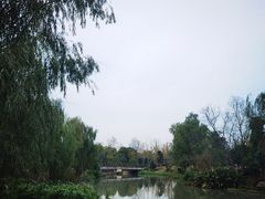 -九科绿洲