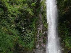 -莫里热带雨林景区