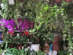 -三旗百汇商品城