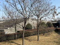 -秦始皇帝陵博物院-丽山园