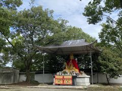 -上海佘山国家森林公园天马山园