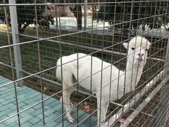 -迪茵湖田家舍生态农场