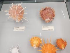 -天津古林古海岸遗迹博物馆