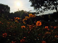 -福建鲤鱼洲酒店