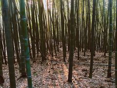 -西湖风景区十里琅珰-五云山