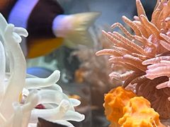 -太平洋海底世界