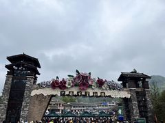 -贵州百里杜鹃风景名胜区
