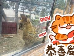 -石家庄市动物园