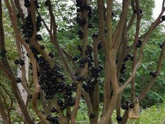 -福建鲤鱼洲酒店