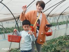 -喜杨洋草莓采摘园