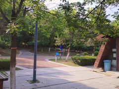 -莫子山公园