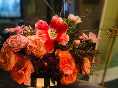 -蝶舍·MAISON PAPILLON