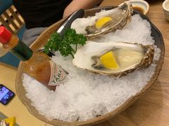 -一本钓鲔鱼屋